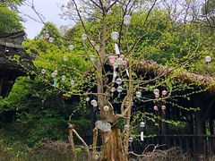 -黄公望隐居地