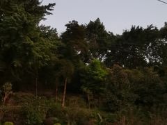 -重庆平顶山公园