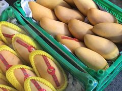 -大连果菜批发市场