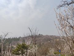 -白水寺森林公园