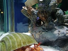 -太平洋海底世界