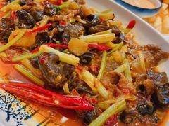 泡椒仔姜鲜牛肝-伊兰麒兰馨园·川菜·清真馆(339电视塔店)