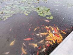-呼兰河口湿地公园