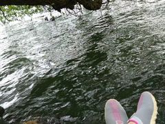 -苏堤停车场