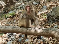-北京上方山国家森林公园