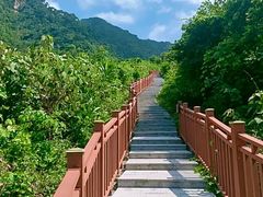 -佛山市三水区大南山森林公园