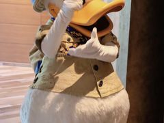 -云龙轩(迪士尼探索家度假酒店)