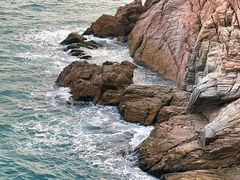 -广东惠东海龟国家级自然保护区