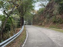 -风云岭森林公园