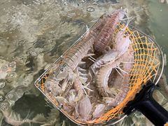 -岛中岛·海鲜大排档·万宁老字号(东澳店)