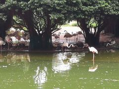 -九龙公园