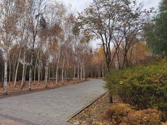-群力丁香公园