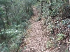 -梧桐山风景名胜区