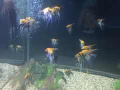-常州海昌海洋探索馆