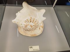 -天津古林古海岸遗迹博物馆
