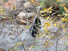 -北京西山国家森林公园