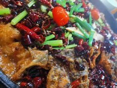 -老板恋上鱼(高新万达店)