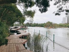 -五缘湾湿地公园