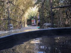 -仁爱团泊湖温泉中心