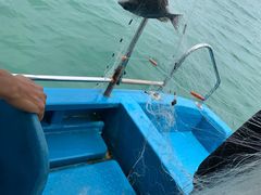 -南蚝小贝海鲜特色餐厅(南澳岛店)