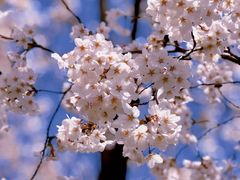 -龙美术馆(西岸馆)