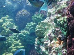 -海合安青岛极地海洋公园