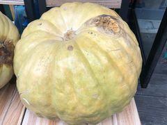 -粥六•新晋菜(柳巷店)