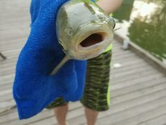 -酷鱼垂钓CLUB(朝阳区博大路店 )