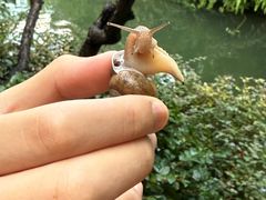 -上海虹桥宾馆味翠餐厅