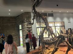 -自贡恐龙博物馆