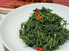 红果枸杞苗-清真·宁夏印象·盐池滩羊肉体验店(江宁路店)