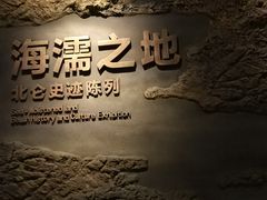 -中国港口博物馆