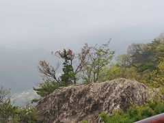 -王顺山国家森林公园
