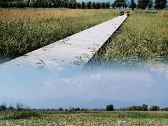 -野鸭湖国家湿地公园