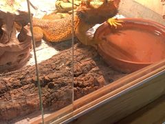 -Rabbit Cafe私房西餐甜点咖啡(栖霞路店)