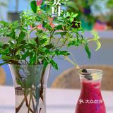 广州沙面最美花园式轻食餐厅“本我”