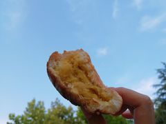 日式脆皮奶酥-那家面包房(珠江路店)