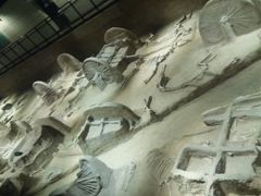 -洛阳周王城天子驾六博物馆