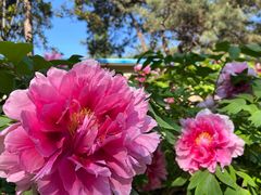 -国家植物园南园