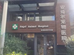 -爱侣·安琦尔宠物医院·中兽医针灸·心内科·狂犬免疫点(宝山区院)