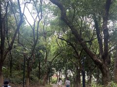 -燕晗山郊野公园