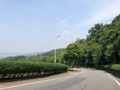 -火炉山森林公园
