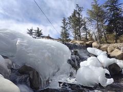 -魔指印象(西藏旗舰店)