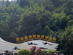 -西双版纳原始森林公园