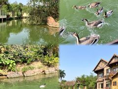 -长鹿旅游休博园