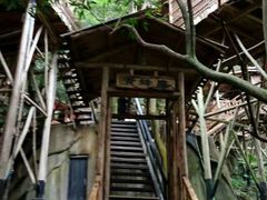 原生态-天门沟九州驿站树上汤泉
