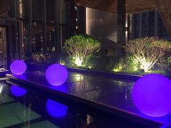 -四季酒店·空中花园 Aria on 9