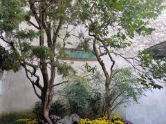 -留园