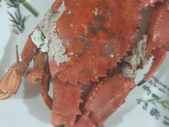 螃蟹-宾朋海鲜饭庄(兴海路店)
