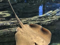 -欢乐海岸海洋奇梦馆